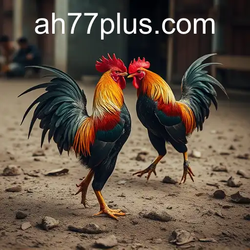 The Intricacies of Cockfighting and 